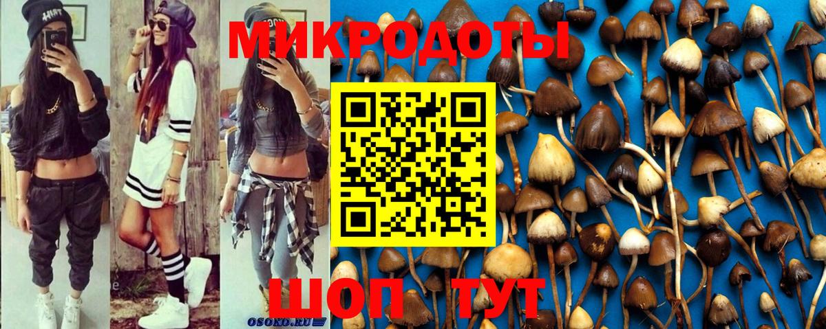 Галлюциногенные грибы Psilocybine cubensis  Вход с VPN  закладка  Ипатово 